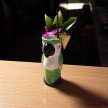 Jungle Bird