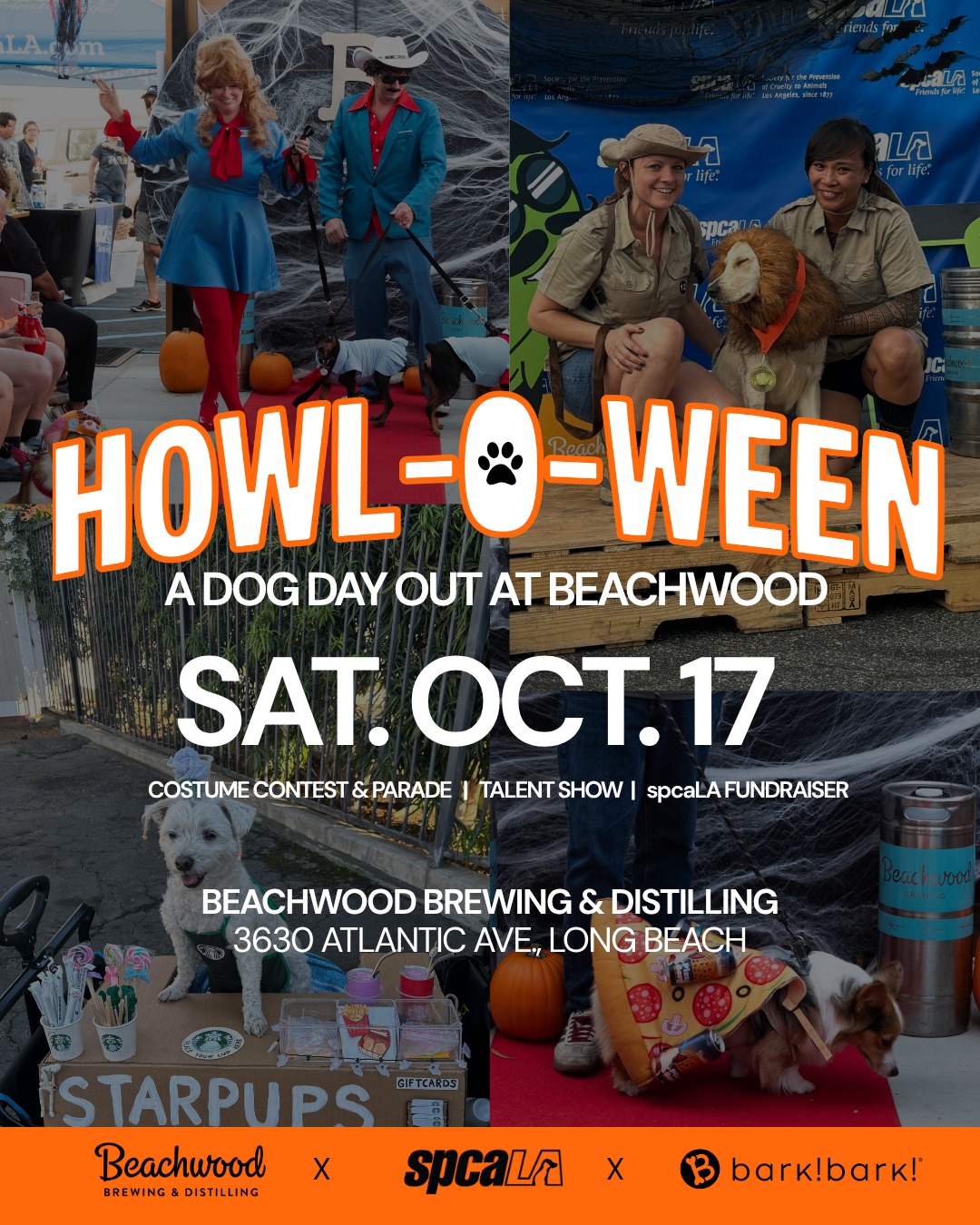 HOWL-O-WEEN at Beachwood Distilling 🍹 Bixby Knolls Long Beach