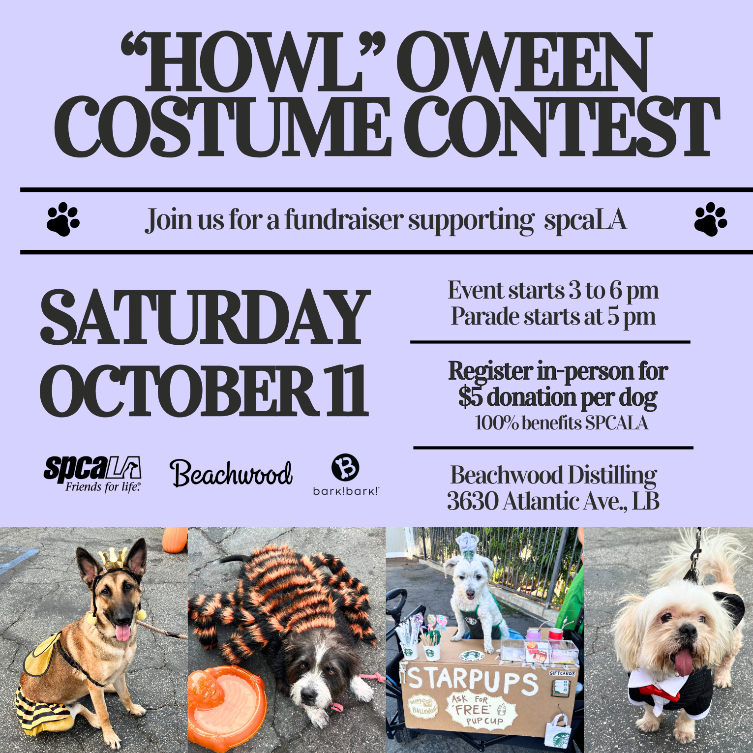 3rd Annual “Howl”oween Dog Costume Contest & spcaLA Fundraiser at Beachwood Brewing & Distilling
